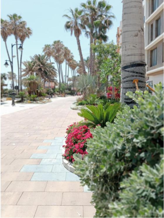 Beach Side Apartment -Estepona Bagian luar foto